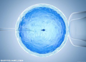 陈思远
